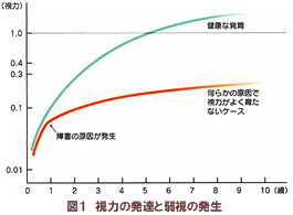 視力の発達と弱視の発生